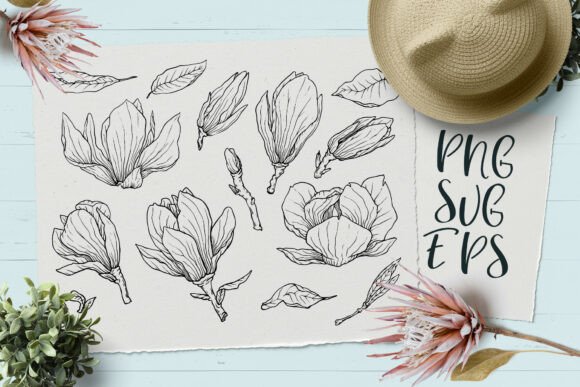 Download Magnolia Hand-drawn Vector Graphics SVG, - Vector graphics Collection